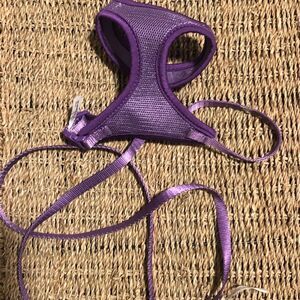 Cat or Tiny Dog Harness and Leash